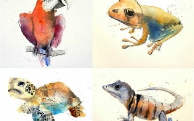 5 Tips for Sketching Animals