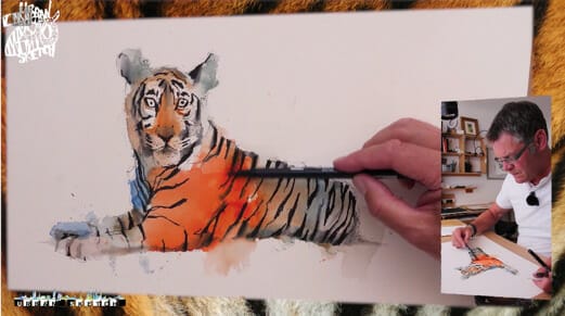 sketching a tiger